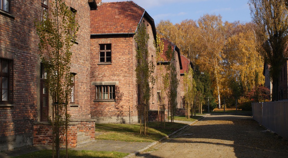 Pawilony obozu Auschwitz w Oświęcimiu, źródło: pixabay
