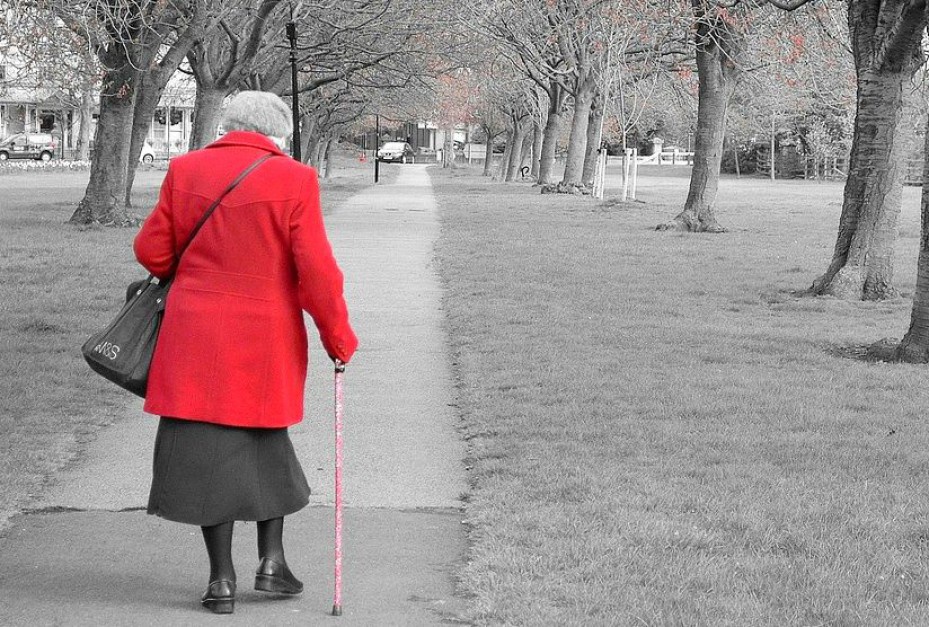 Wprowadzenie emerytur obywatelskich - gwarantowanych wszystkim obywatelom przez państwo, ale na niskim poziomie. (Fot. Pixabay)