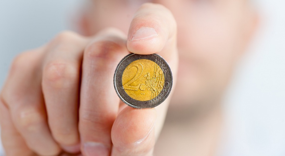 Wstąpienie do strefy euro wymaga wypełnienia tzw. kryteriów z Maastricht, które są wyśrubowanymi, ekonomicznymi standardami jakie musi spełnić gospodarka kraju aspirującego do wspólnej waluty, źródło: pixabay.com.