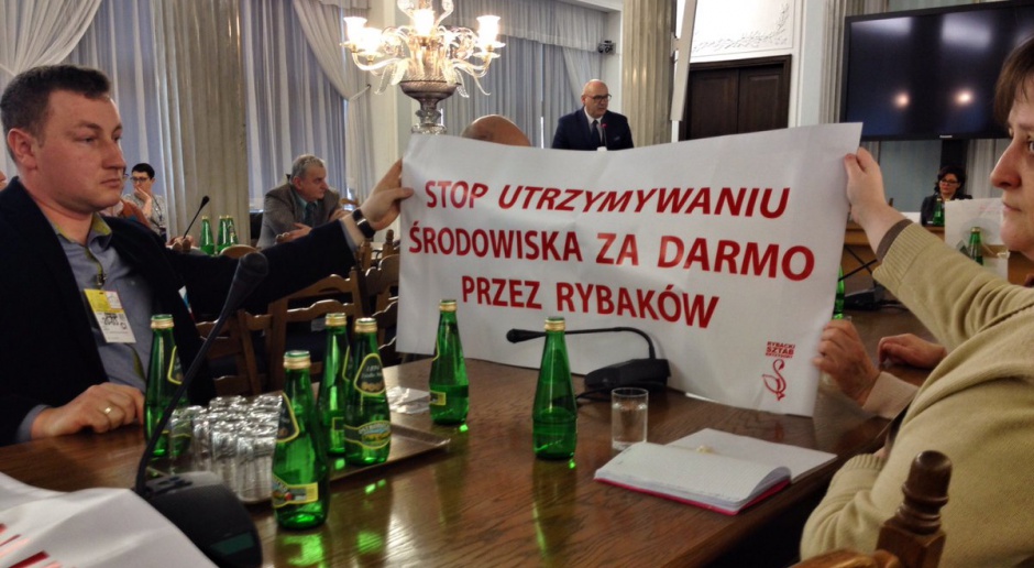 Politycy PSL w Sejmie w czasie konferencji poświęconej wycince drzew, źródło: twitter.com/ludowcypsl