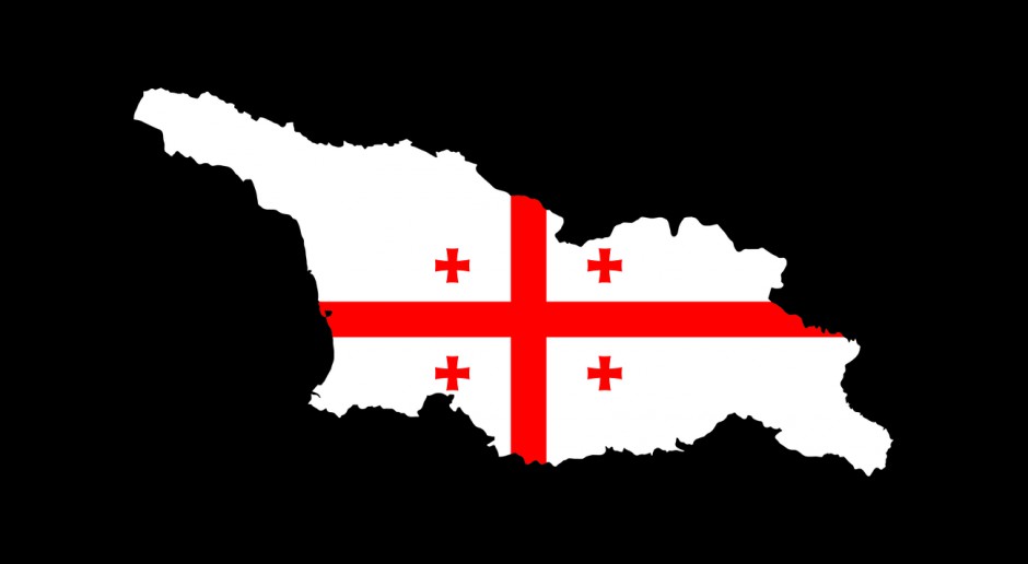 - Głównym problemem, z którym zetknęła się Gruzja, była ogromna zależność kraju od północnego sąsiada – mówił Gwimradze na EEC 2017, źródło: pixabay.com
