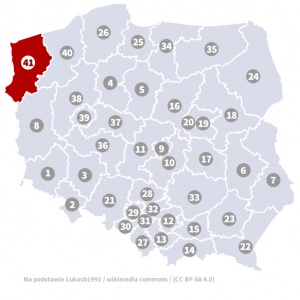 Okręg wyborczy nr 41 (Szczecin, zachodniopomorskie) - wybory 2015