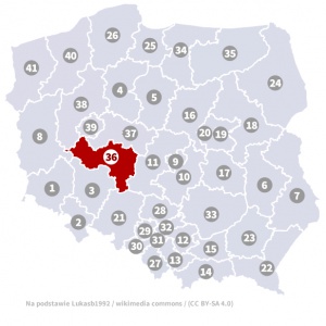 Okręg wyborczy nr 36 (Kalisz, wielkopolskie) - wybory 2015