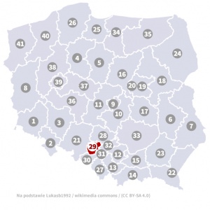 Okręg wyborczy nr 29 (Gliwice, śląskie) - wybory 2015