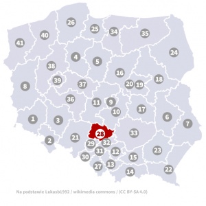 Okręg wyborczy nr 28 (Częstochowa, śląskie) - wybory 2015