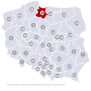 Okręg wyborczy nr 25 (Gdańsk, pomorskie) - wybory 2015