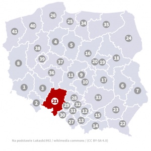 Okręg wyborczy nr 21 (Opole, opolskie) - wybory 2015