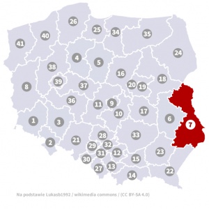 Okręg wyborczy nr 7 (Chełm, lubelskie) - wybory 2015