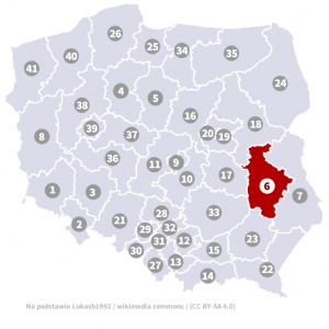 Okręg wyborczy nr 6 (Lublin, lubelskie) - wybory 2015