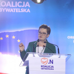 Katarzyna Lubnauer  - informacje o pośle na sejm 2015